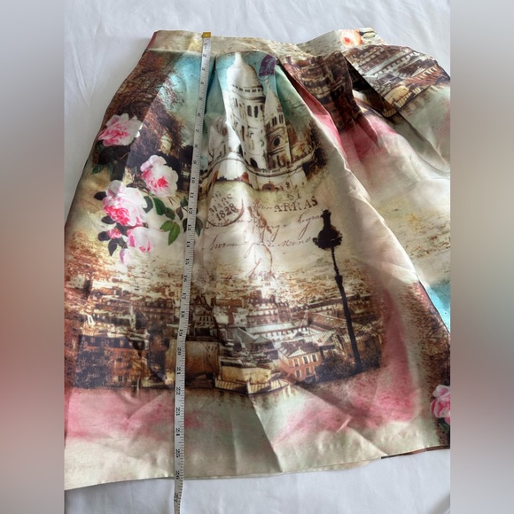 NWT Hesperus Premium Scenic print 50s style Skirt size L - Picture 5 of 7